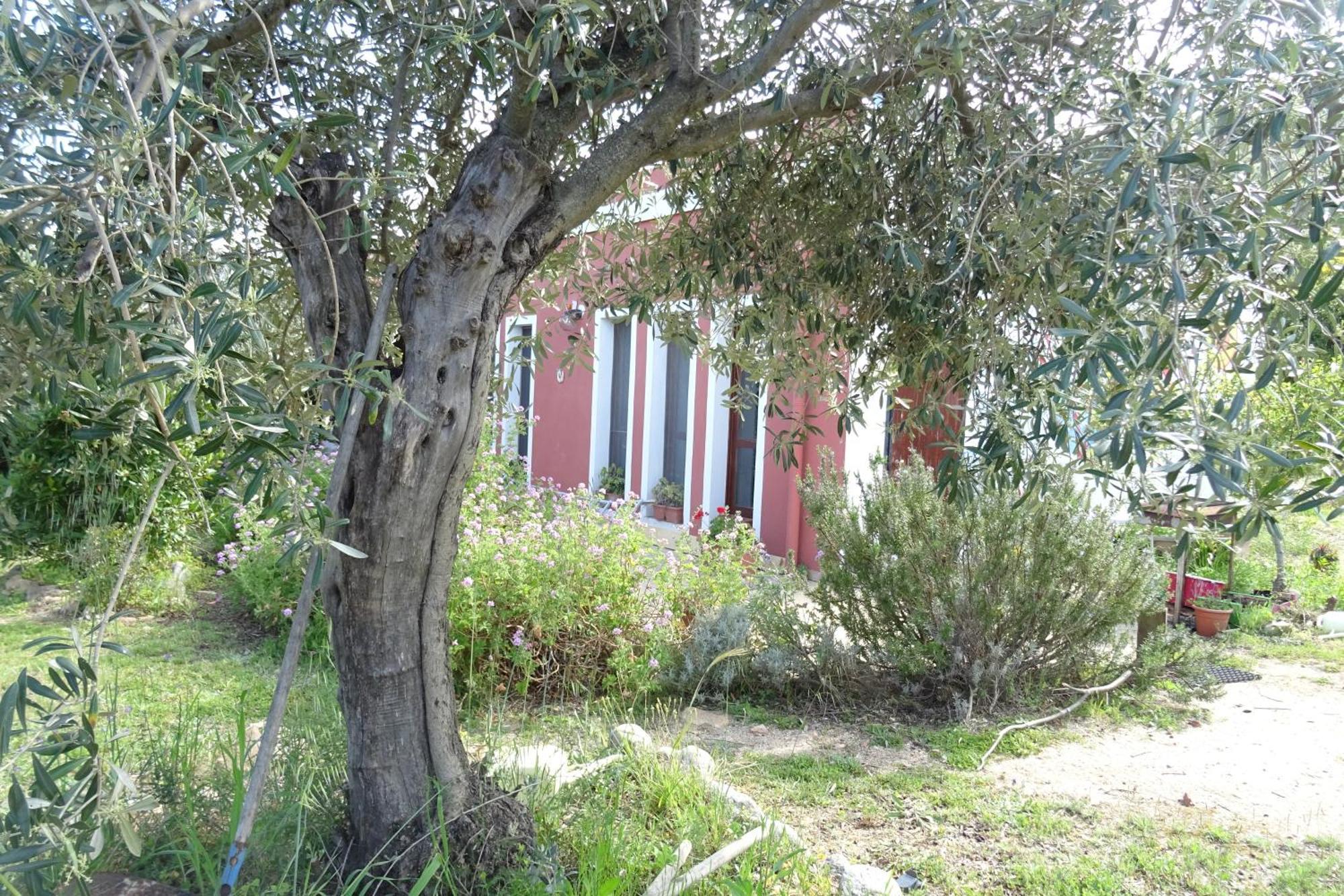 B&B Casa Per Ferie Villaggiocarovana Castiadas Exterior foto